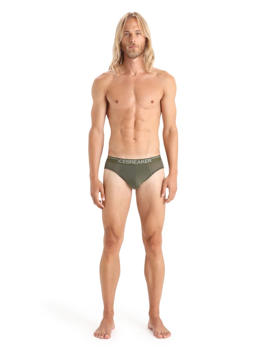 Men's Icebreaker Merino Anatomica Briefs Underwear Loden | CA 1650RVDW